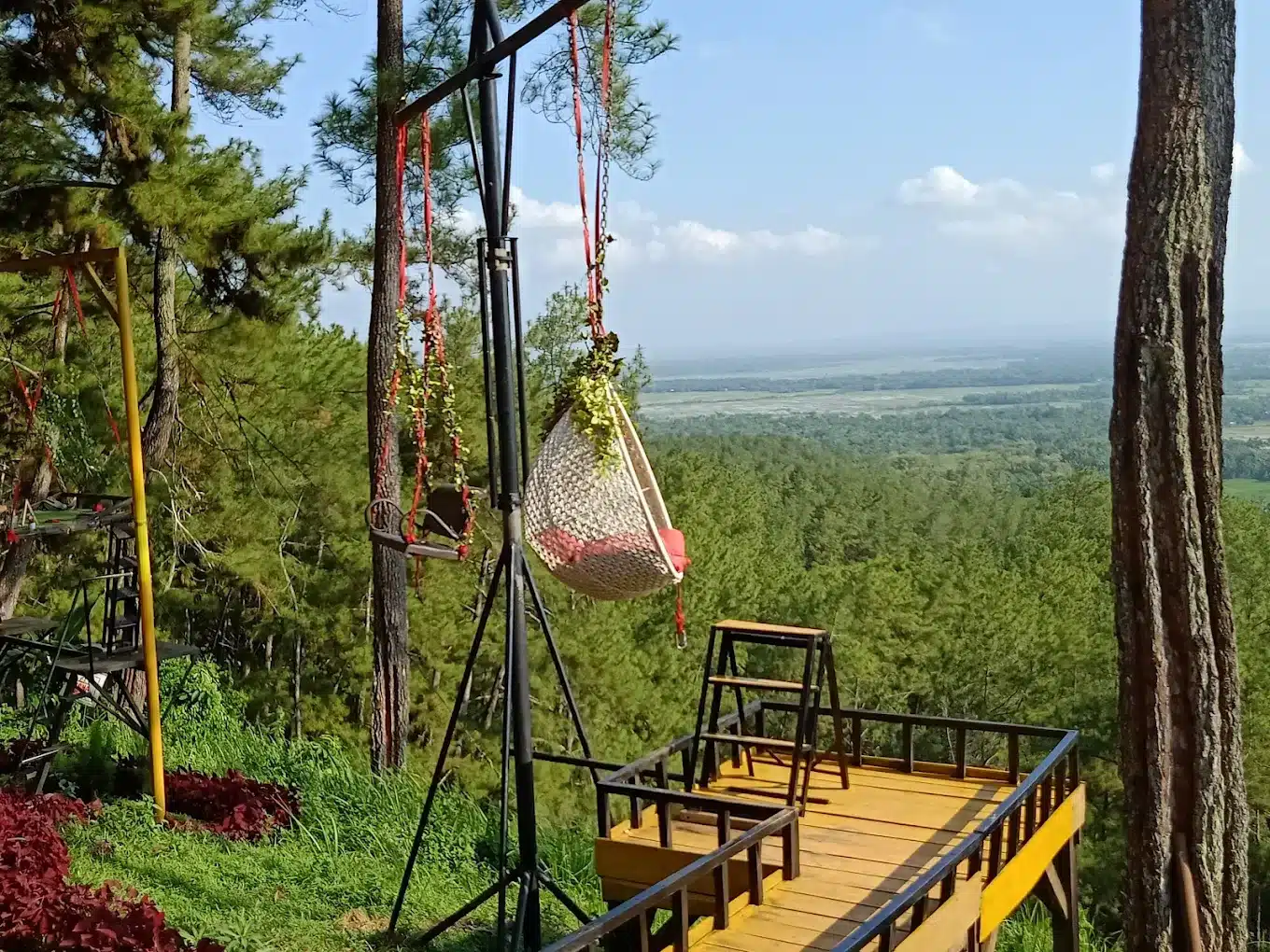 Toro Tour& Travel: Jembatan Wisata Cilacap ke Dunia Luar